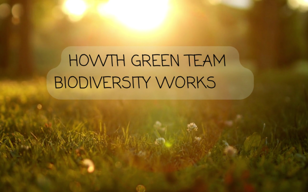 Howth Biodiversity Works